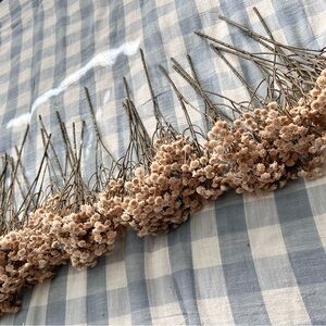 Dried Floral Arrangement